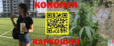 ешки Сланцы