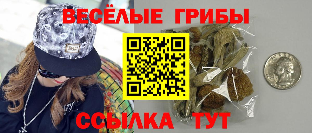 Галлюциногенные грибы Magic Shrooms  Вход с VPN  Псков 