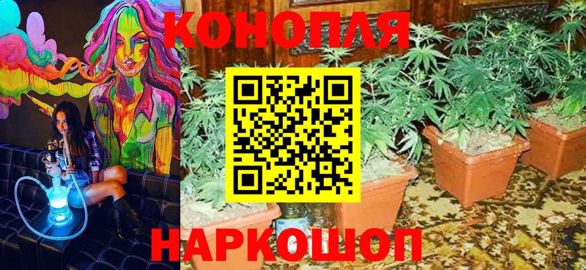 Бошки марихуана планчик Псков